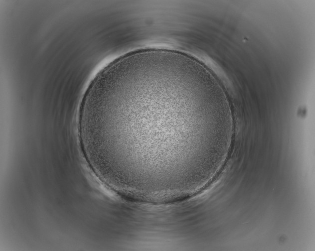 X0000094431240200711151335