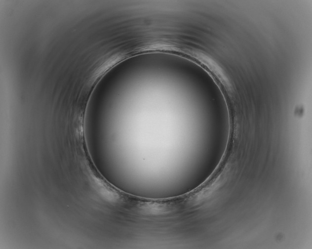X0000094431241200711151335