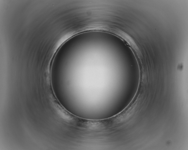 X0000094431242200711151335