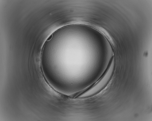 X0000094431244200711151335