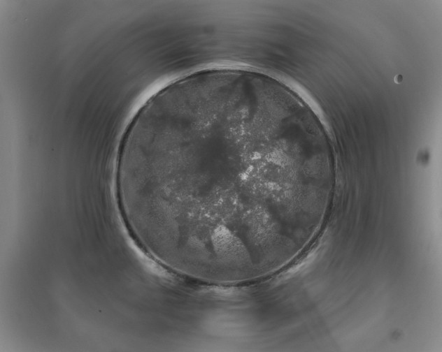X0000094431245200711151335