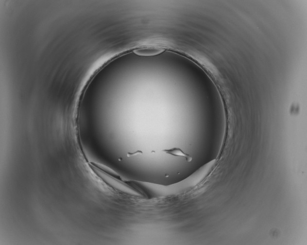 X0000094431248200711151335