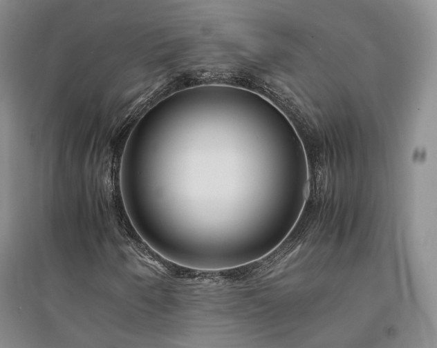 X0000094431250200711151334