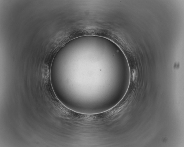 X0000094431251200711151334