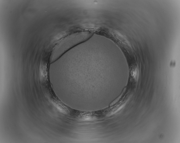 X0000094431252200711151334