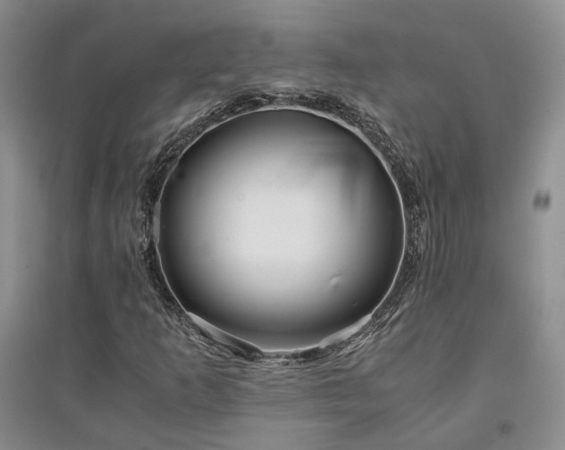 X0000094431253200711151334
