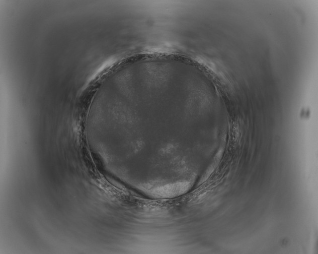 X0000094431254200711151334