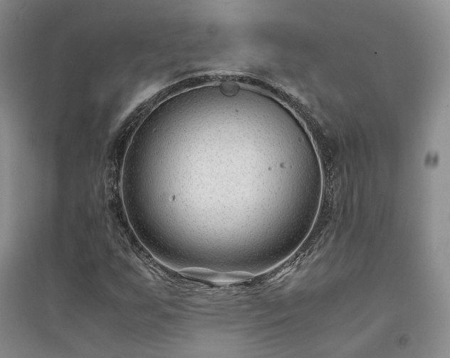 X0000094431255200711151334