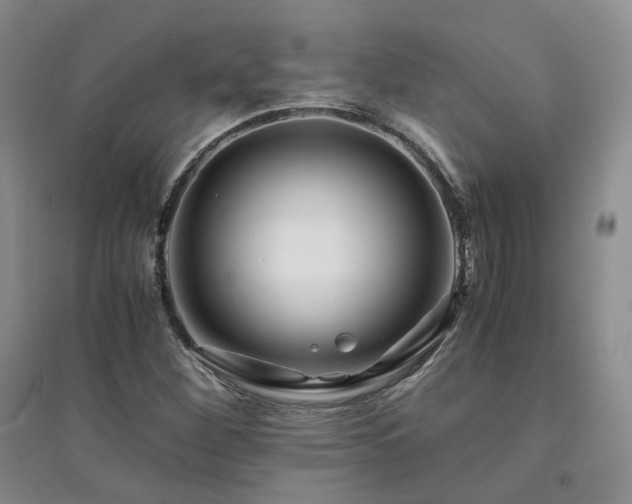 X0000094431260200711151334