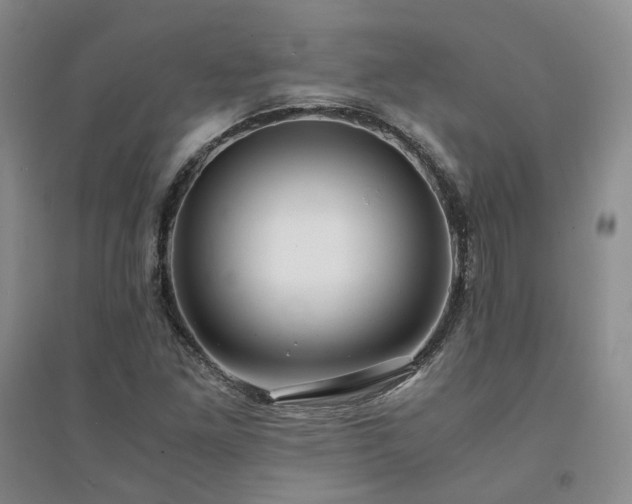 X0000094431261200711151334