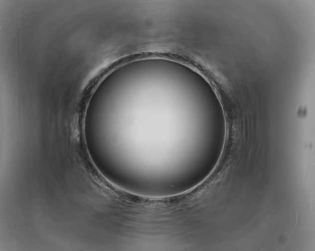 X0000094431262200711151334
