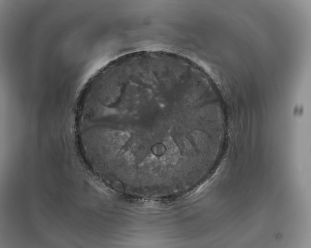 X0000094431263200711151334