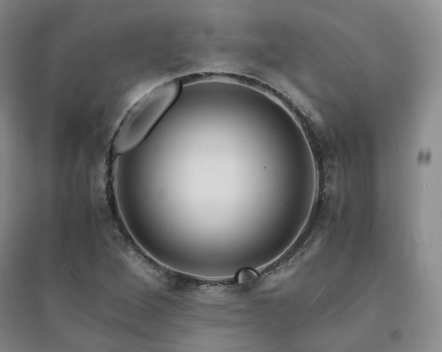 X0000094431264200711151334