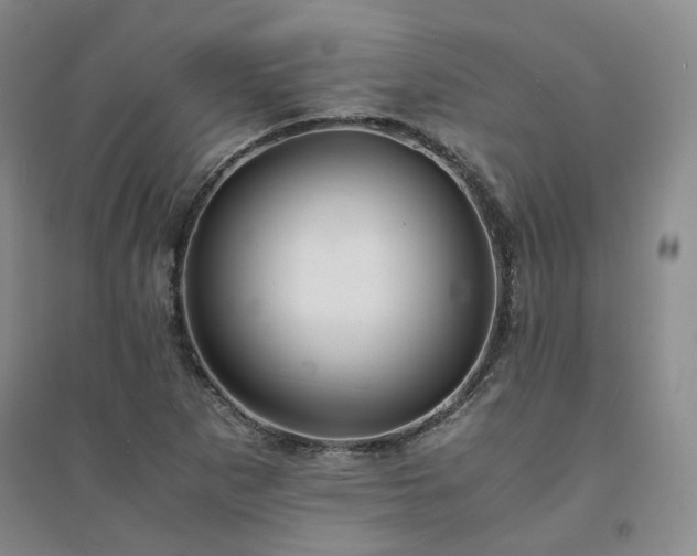X0000094431265200711151334