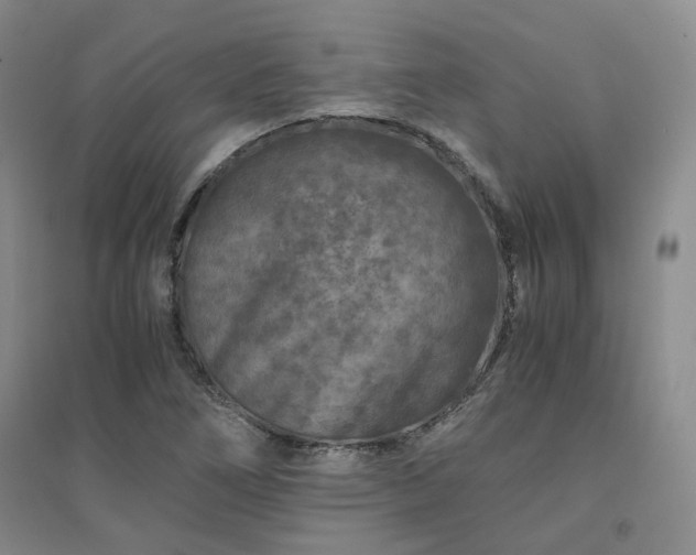 X0000094431266200711151334