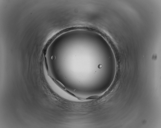 X0000094431267200711151334