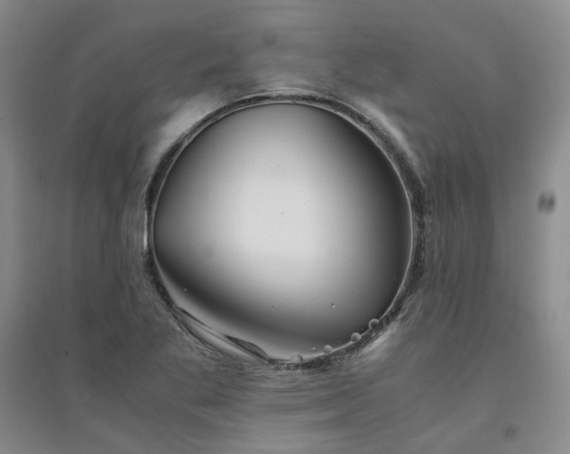 X0000094431269200711151334