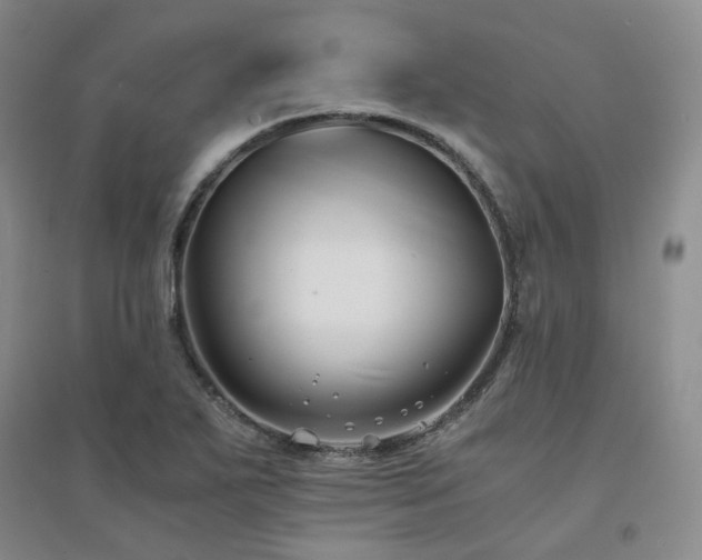 X0000094431271200711151334