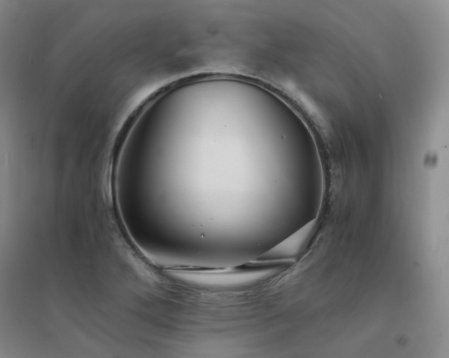 X0000094431272200711151334