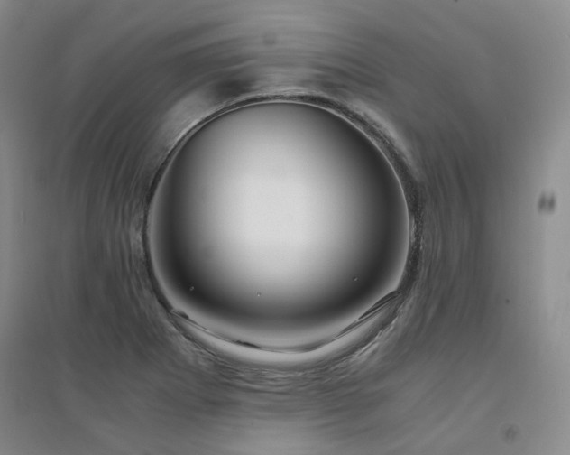 X0000094431273200711151334