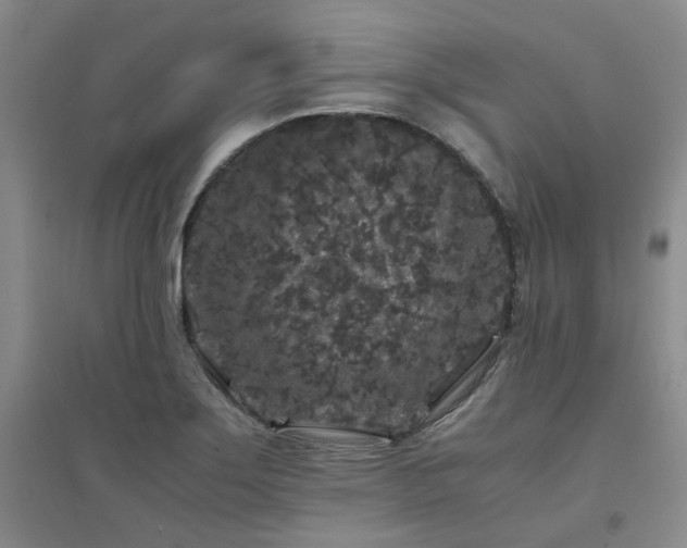 X0000094431275200711151334