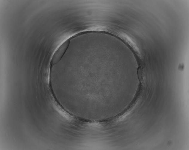X0000094431276200711151334