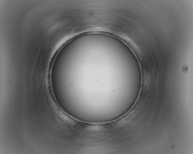 X0000094431278200711151334