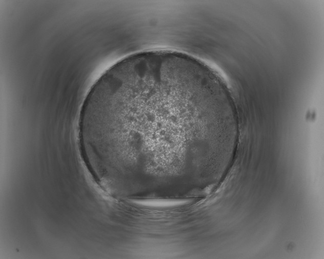 X0000094431279200711151334