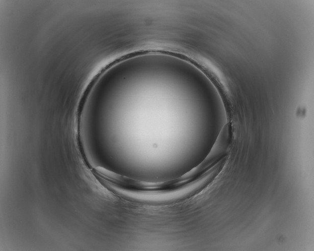 X0000094431280200711151334