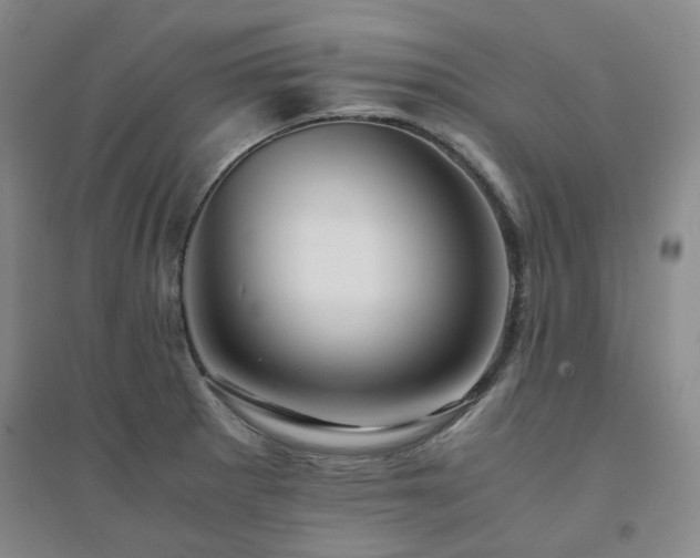 X0000094431281200711151334