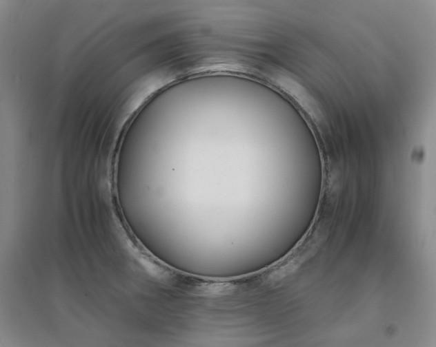 X0000094431282200711151334