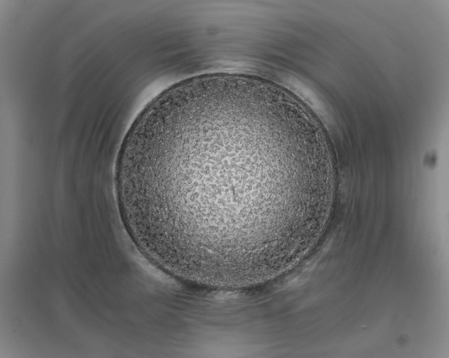 X0000094431283200711151334