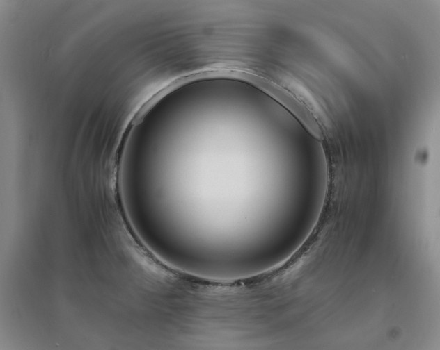 X0000094431284200711151334