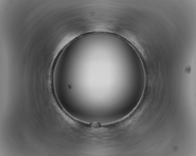 X0000094431285200711151334