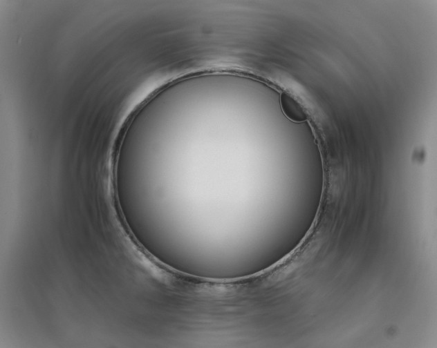 X0000094431286200711151334
