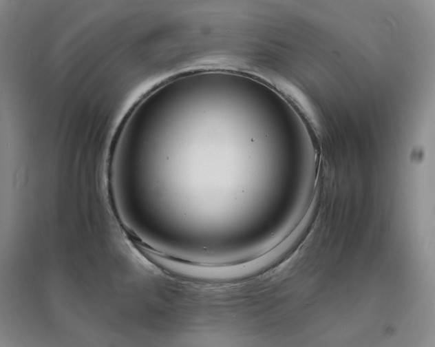 X0000094431288200711151334