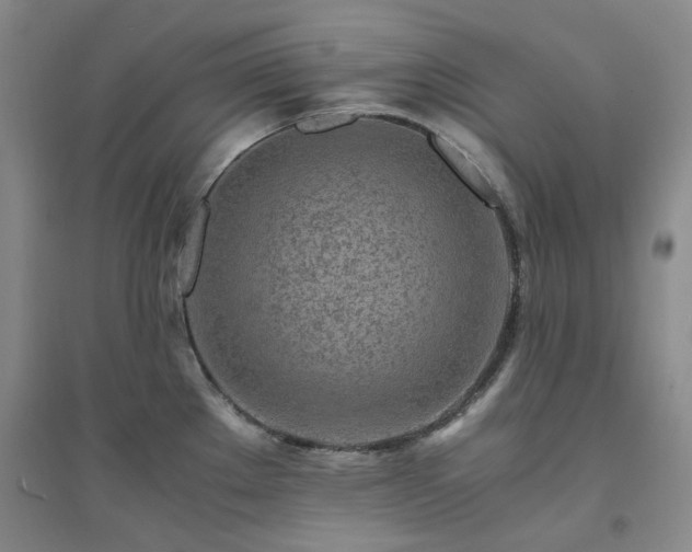 X0000094431289200711151334