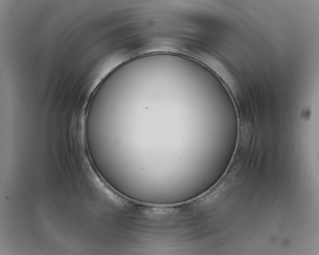 X0000094431290200711151334