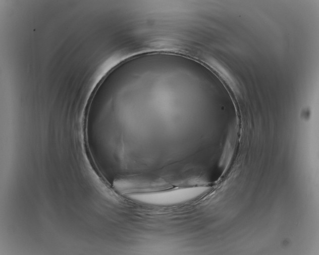 X0000094431291200711151334