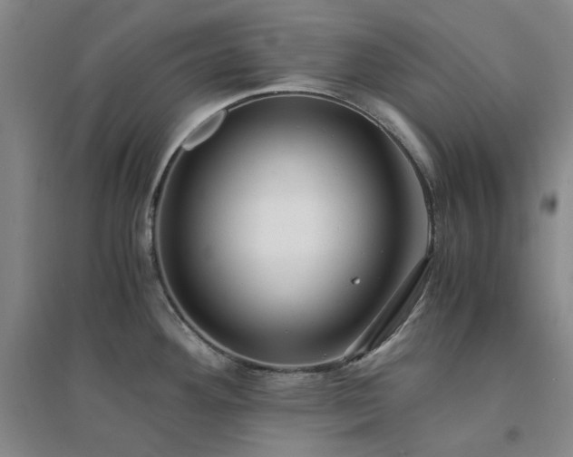 X0000094431292200711151334