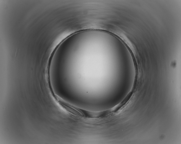 X0000094431293200711151334