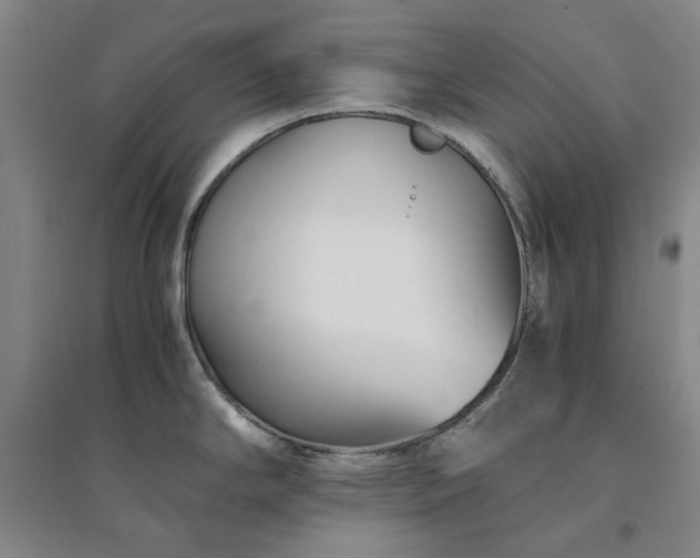 X0000094431294200711151334