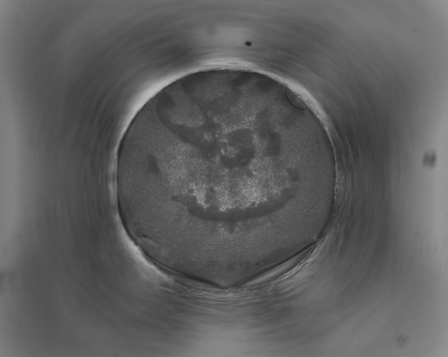 X0000094431295200711151334