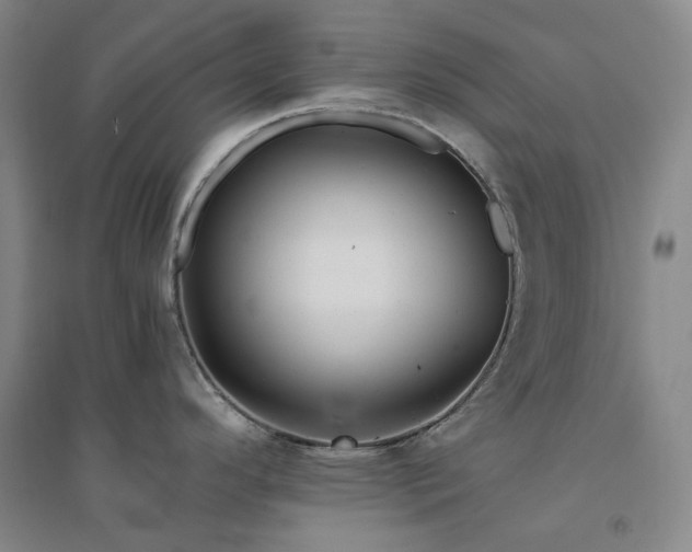 X0000094431296200711151334