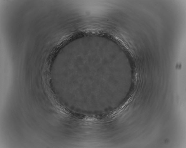 X0000094431297200711151333