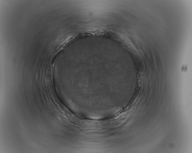X0000094431298200711151333