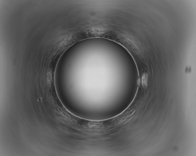 X0000094431299200711151333