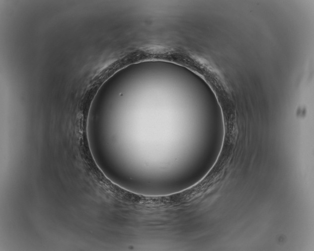 X0000094431301200711151333