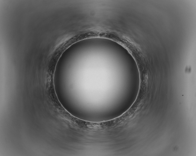 X0000094431302200711151333