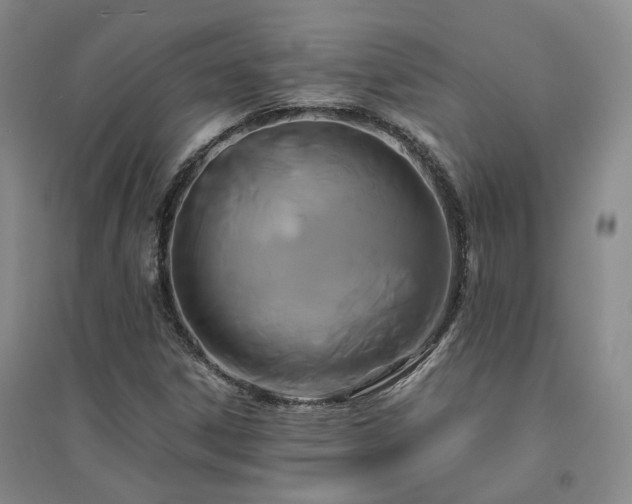 X0000094431306200711151333